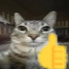 Foto ou avatar de Gabriel